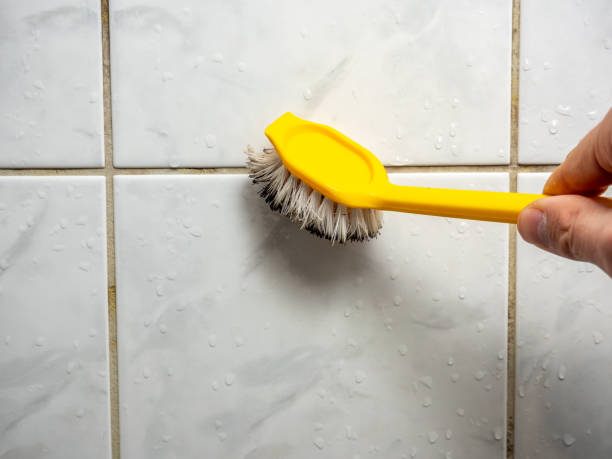 Best Black Mold Removal  in Highland Heights, KY