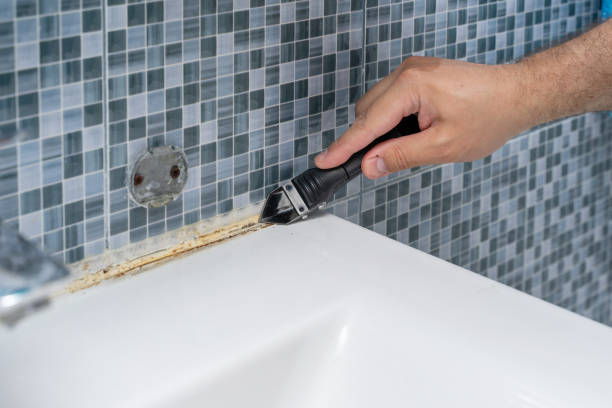 Best Certified Mold Removal  in Highland Heights, KY