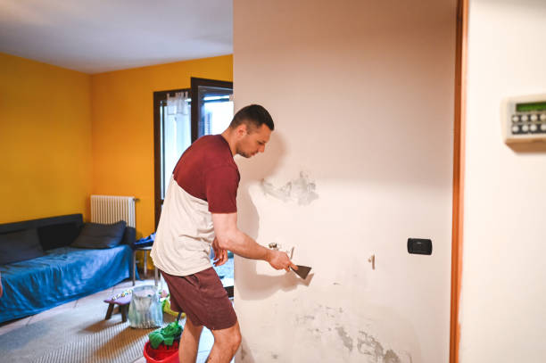 Best Commercial Mold Removal  in Highland Heights, KY
